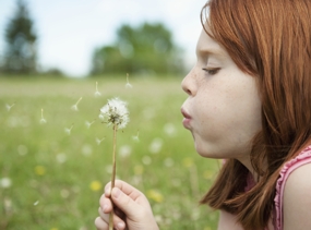 Mädchen auf Wiese mit Pusteblume