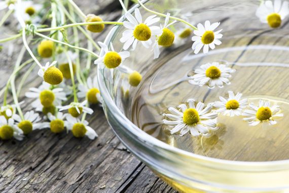 Kamillenblüten und Schale mit Kamillentee.